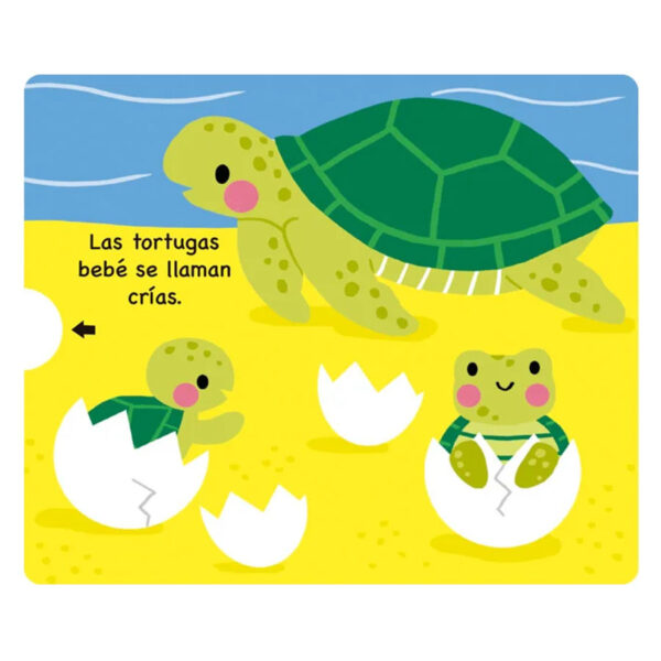 Animales del Océano - Libro Desplegable - Imagen 2
