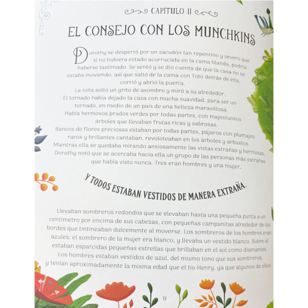 El Maravilloso Mago de Oz - Obras cuentos clásicos - Imagen 2